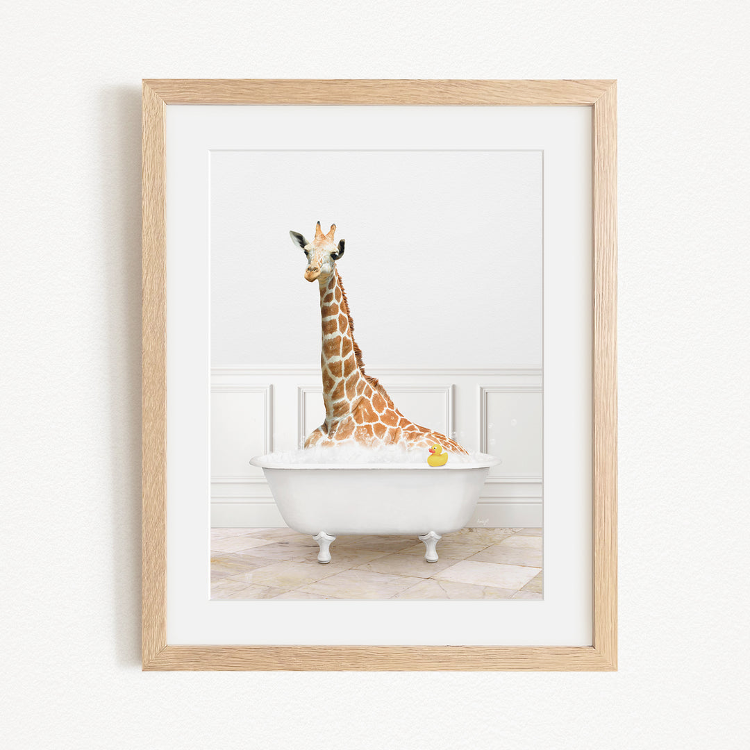 A giraffe sitting in a white bathtub filled with water, with a yellow rubber duck floating in the water.