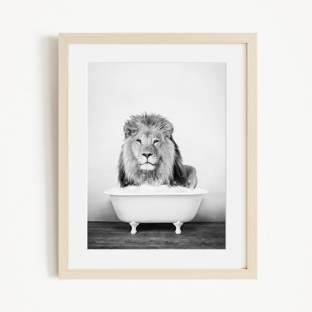 A black and white photograph of a lion sitting in a bathtub filled with water.