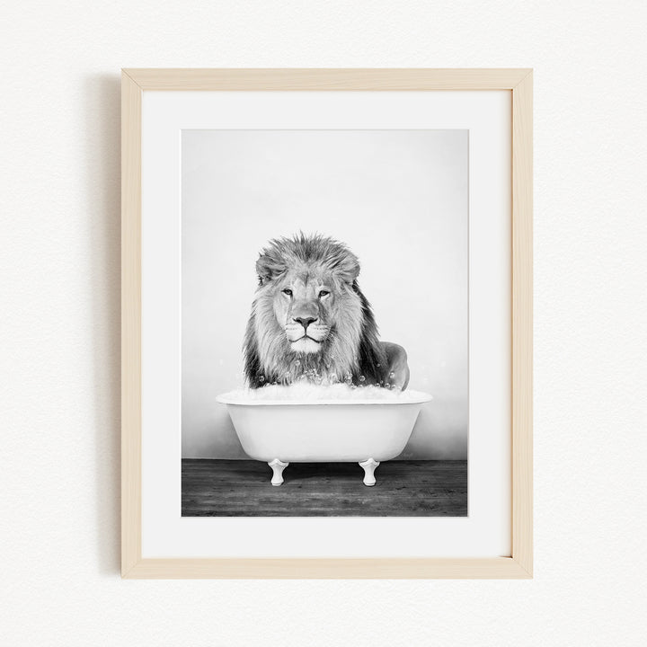 A black and white photograph of a lion sitting in a bathtub filled with water.