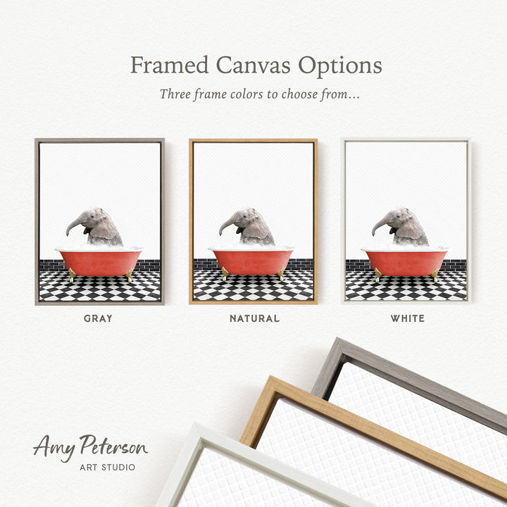 three framed canvas options, each featuring a different color: gray, natural, and white. The text above the images reads " framed Canvas Options" and "Three frame colors to choose from...". The bottom of the image includes the text " Amy Peterson ART STUDIO".