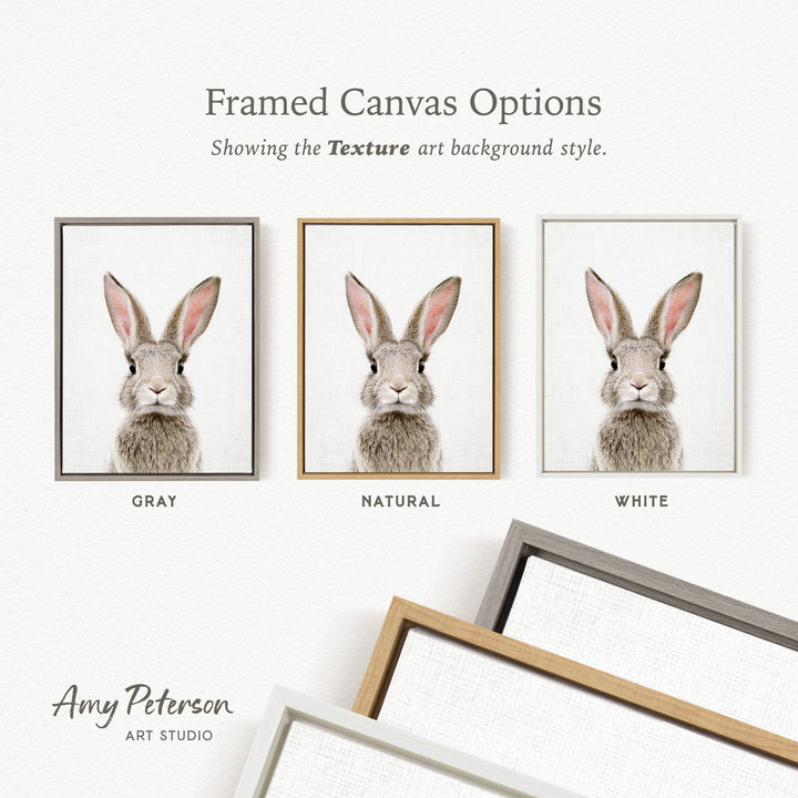 three framed canvas options, each featuring a close-up of a rabbit's face in different color backgrounds. The options are labeled as "Grays," "Natural," and "White," indicating the color of the background. The text " Framed Canvas Options" is displayed above the options, and "Showing the Texture art background style." is written below the rabbit's image. The artist's name, " Amy Peterson," is also included at the bottom of the image.
