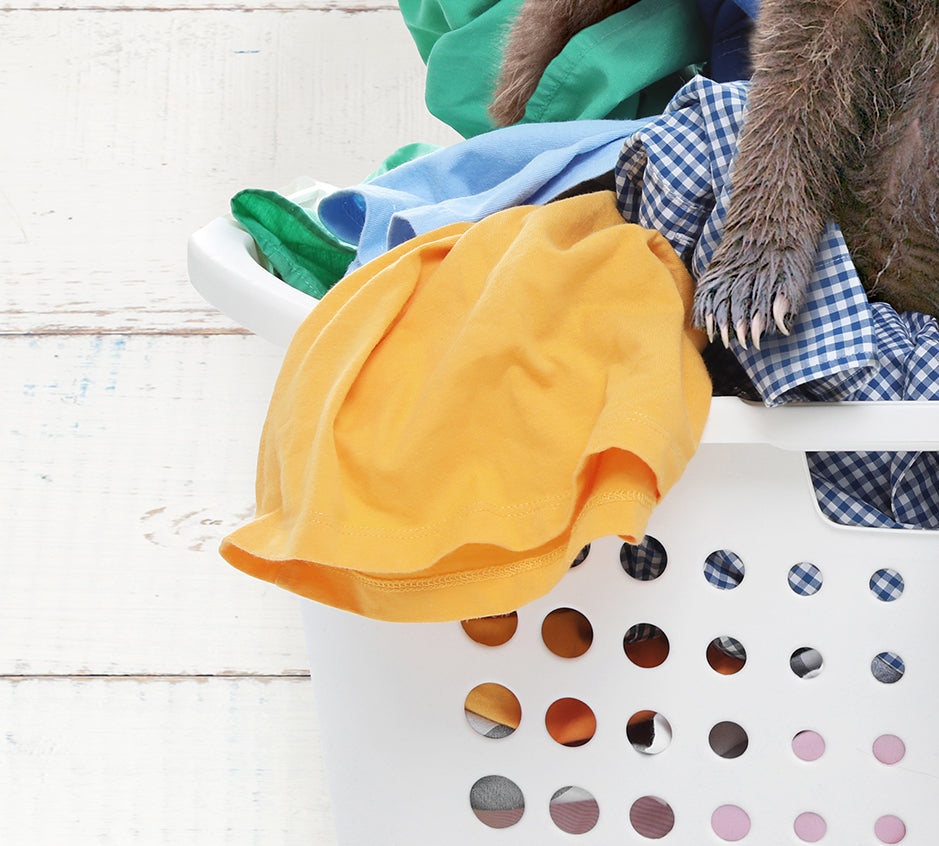 Three Bear Cubs in Laundry Basket - Farmhouse Wall