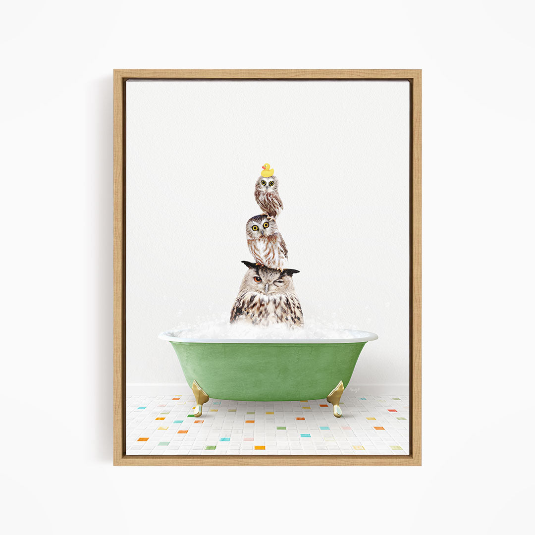 A framed image depicting three owls sitting in a green bathtub filled with bubbles, with one of the owls wearing a yellow hat.