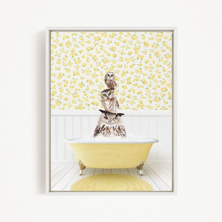 A framed image depicting three owls sitting in a yellow bathtub, with a yellow floral wallpaper in the background.
