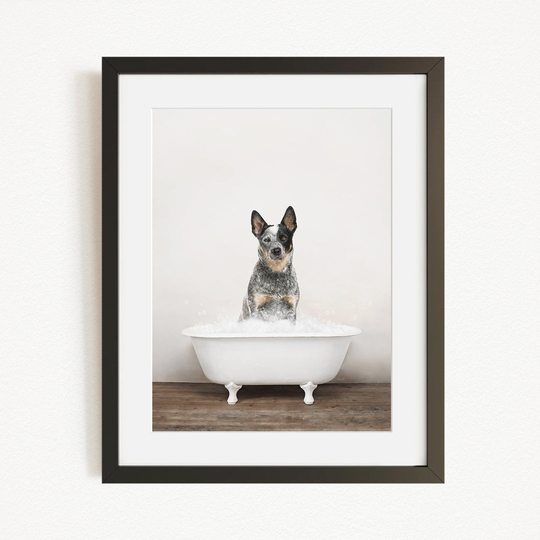 A fluffy dog sitting in a white bathtub filled with bubbles, looking directly at the camera.
