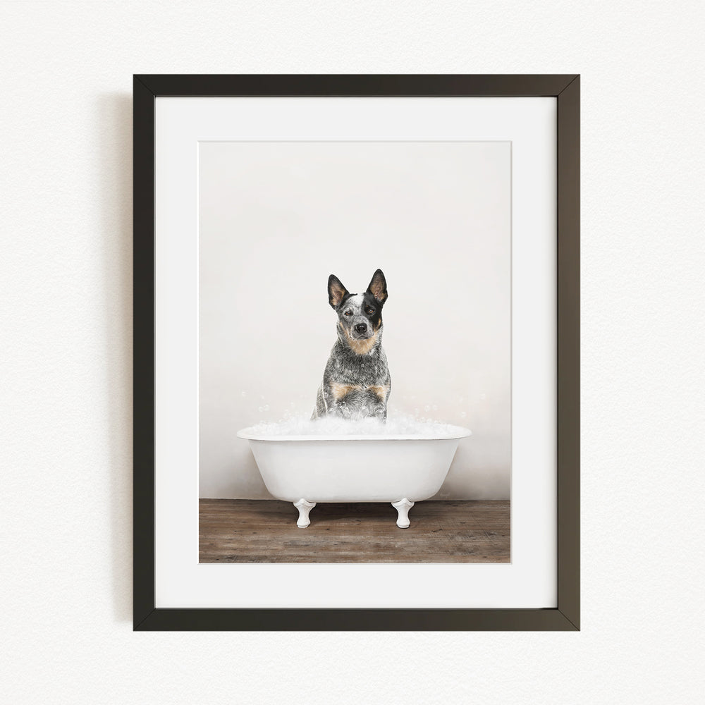 A black and white dog sitting in a white bathtub filled with water, looking directly at the camera.