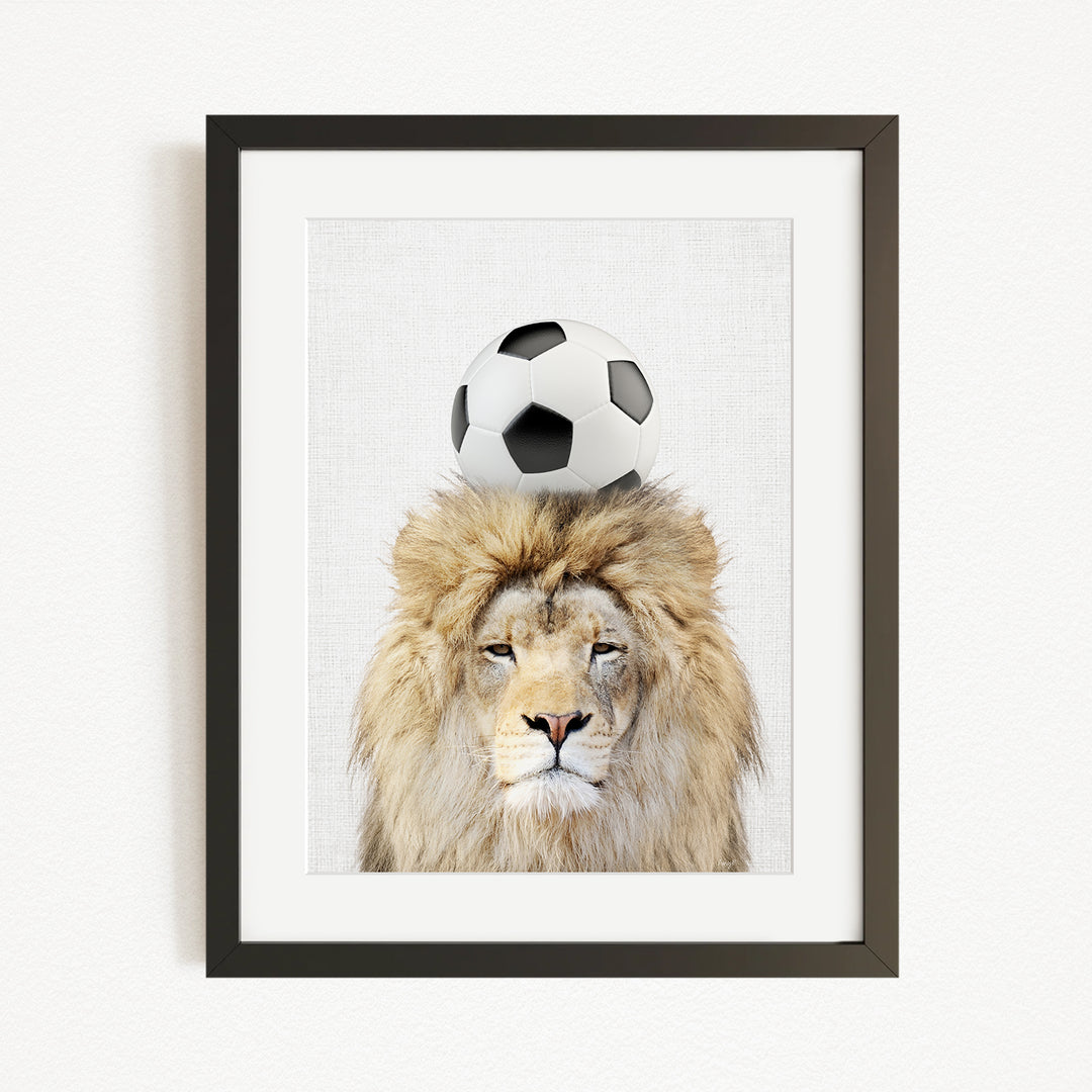 A framed image of a lion with a soccer ball on its head.