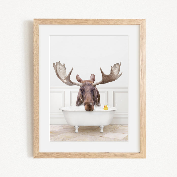 A moose with large antlers is sitting in a white bathtub, with a yellow rubber duck floating in the water.