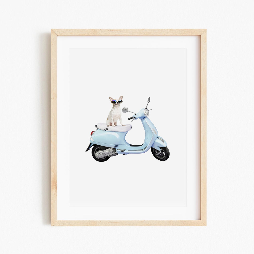 a picture of a dog sitting on a scooter