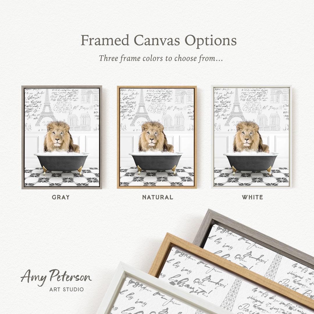 The image is a framed canvas option showcasing three different color options for a framed artwork depicting a lion in a bathtub.