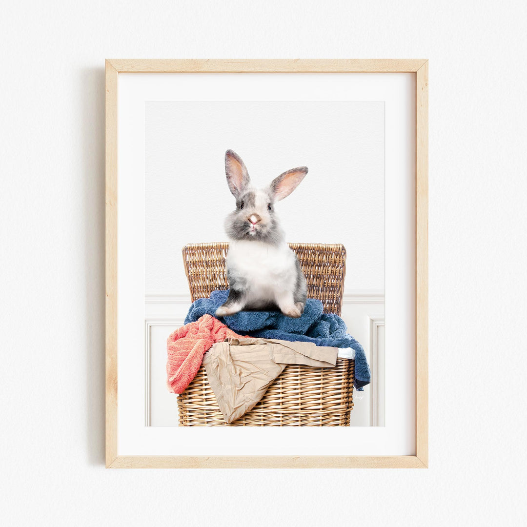 a picture of a rabbit sitting in a basket