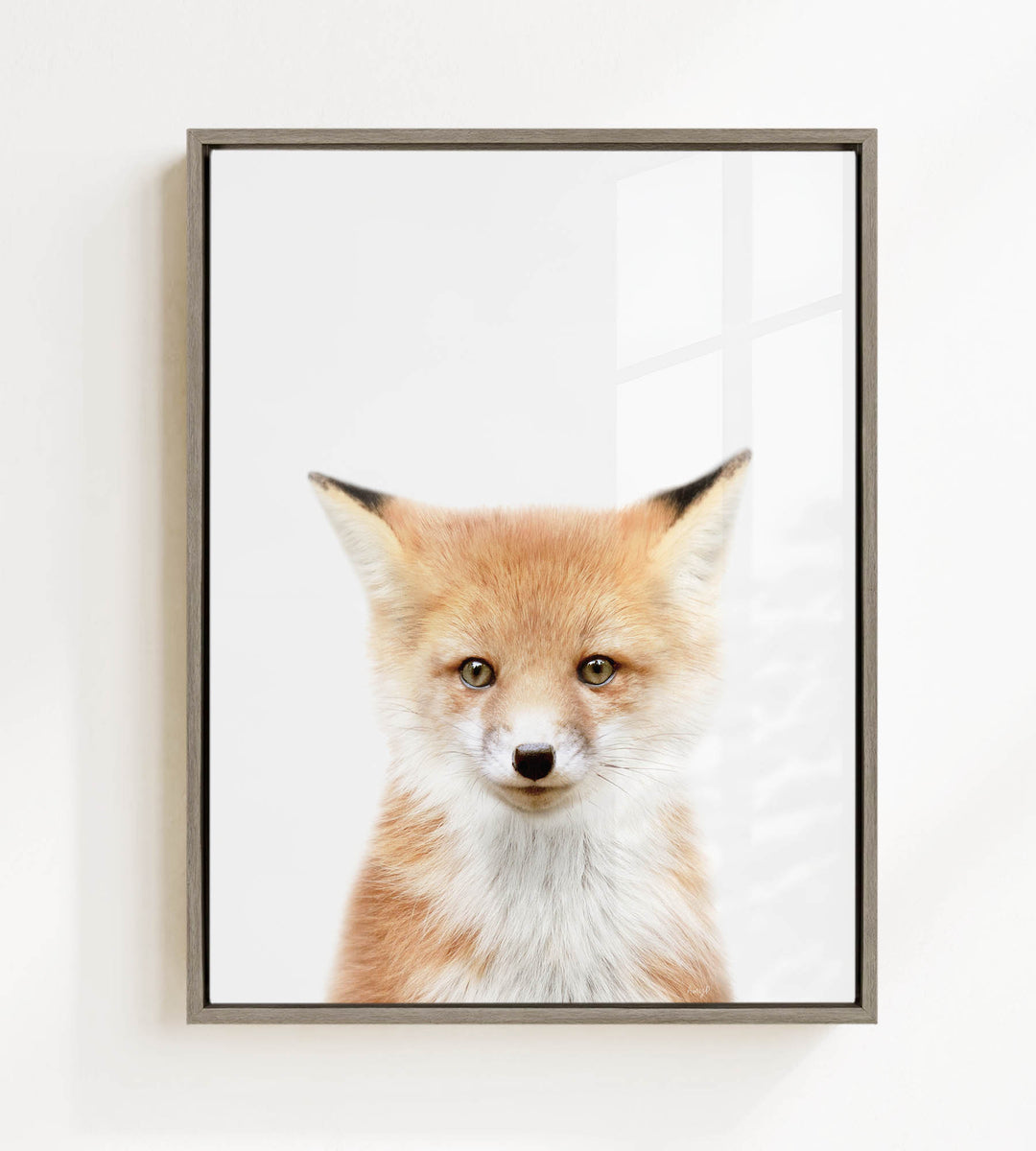 A framed photograph of a young fox with a friendly expression, looking directly at the camera.