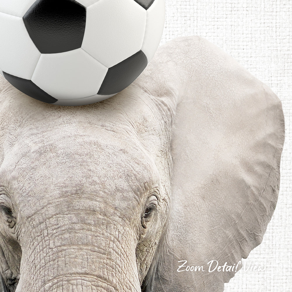 An elephant with a soccer ball resting on its head.