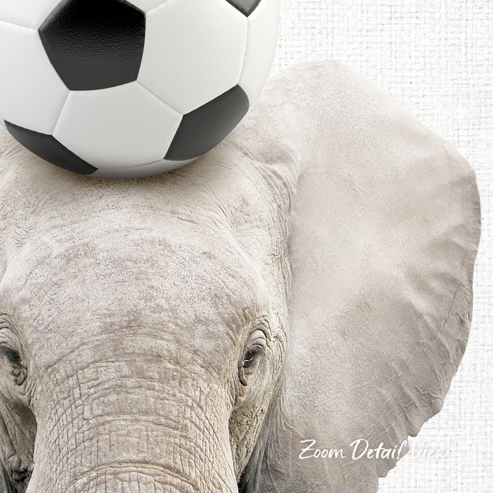 An elephant with a soccer ball resting on its head.