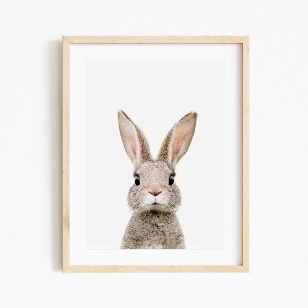 a framed picture of a rabbit's face