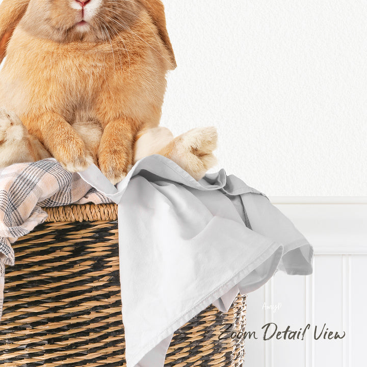 A fluffy orange rabbit sits in a woven basket, surrounded by a gray blanket and a white towel.