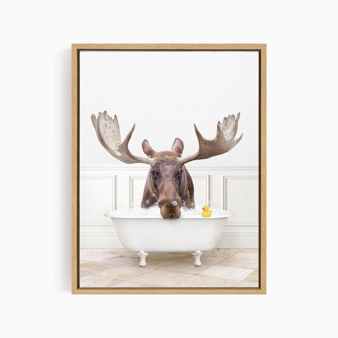 A moose with large antlers is sitting in a white bathtub, with a rubber duck floating in the water.