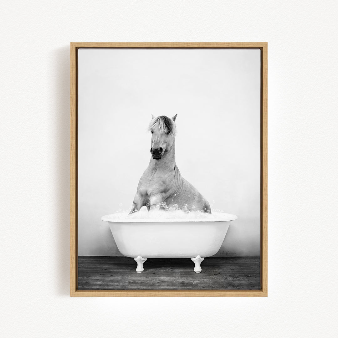 A horse sitting in a white bathtub filled with water, creating a serene and peaceful scene.