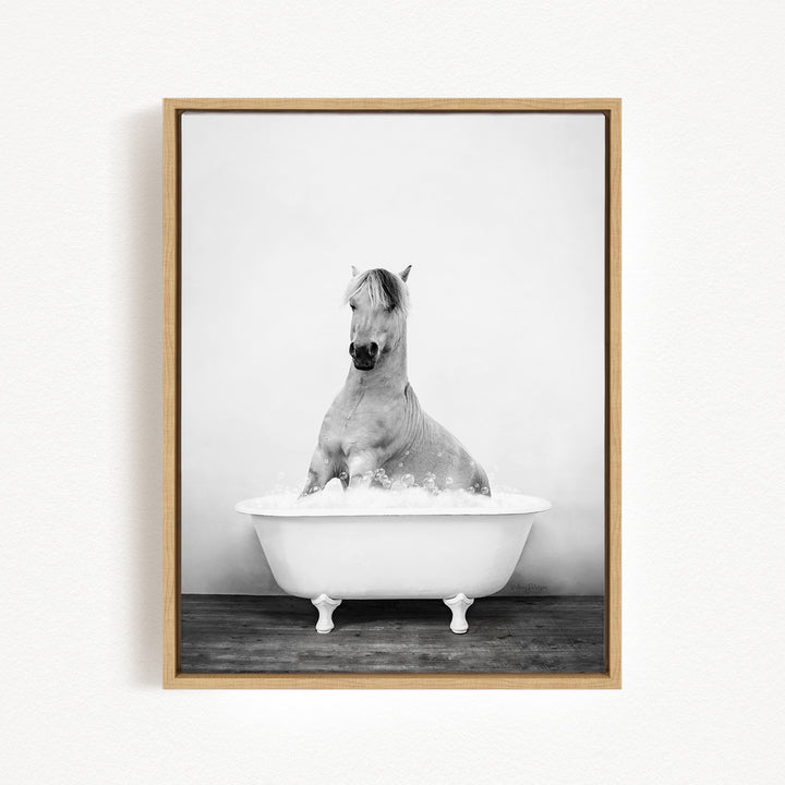 A horse sitting in a white bathtub filled with water, creating a serene and peaceful scene.