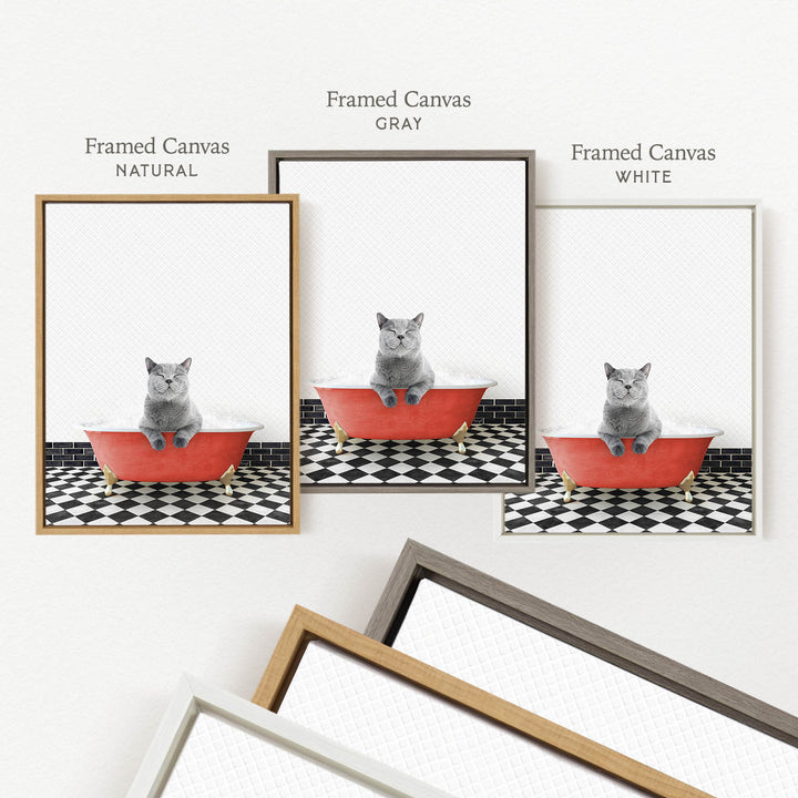 three framed pictures of a cat sitting in a bathtub, each with a different colored frame.