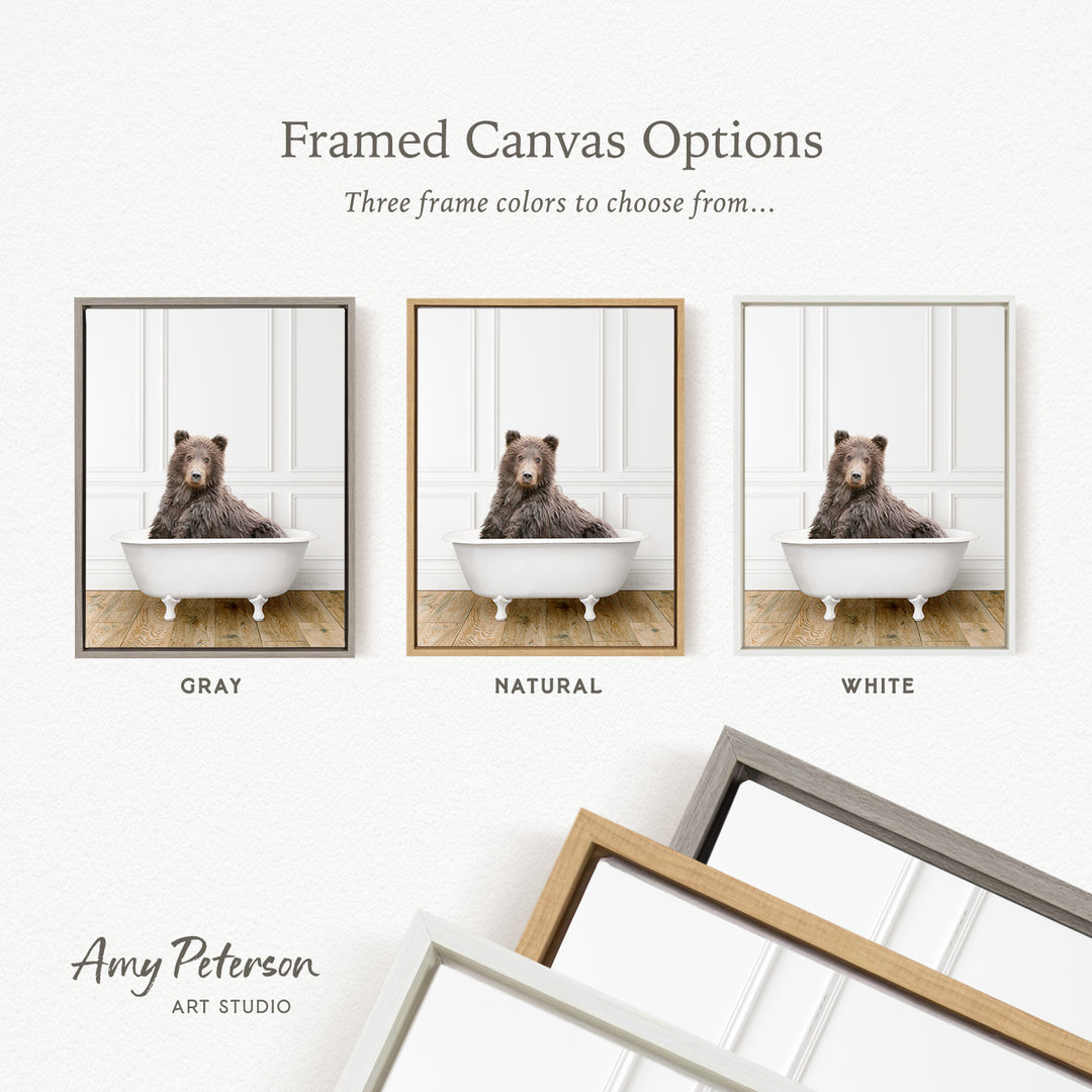 three framed canvas options, each featuring a bear sitting in a bathtub. The options include a gray frame, a natural frame, and a white frame. The bear is sitting in the bathtub, and the bear is brown.