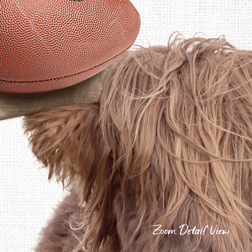 A close-up of a dog's fluffy, shaggy fur with a football resting on top of it.