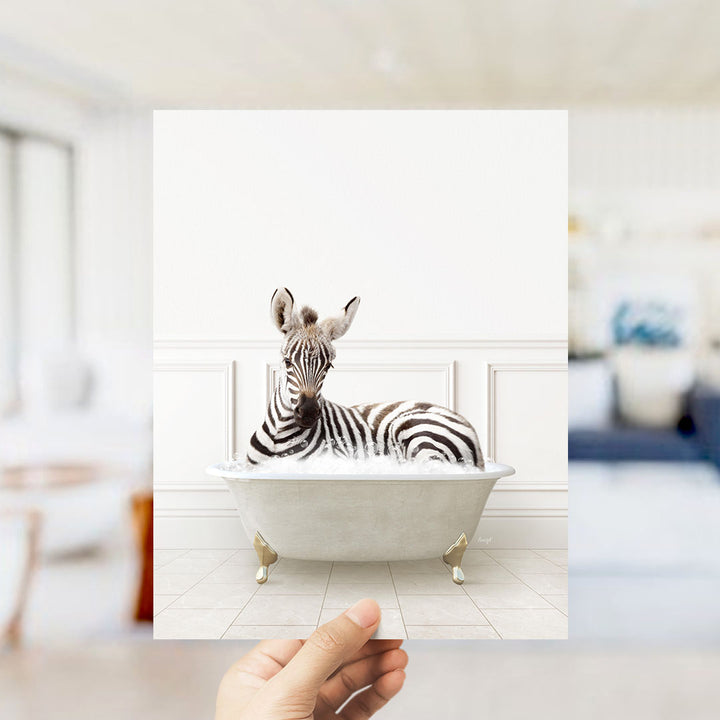 A zebra lying in a white bathtub, surrounded by a white interior with a blurred background.