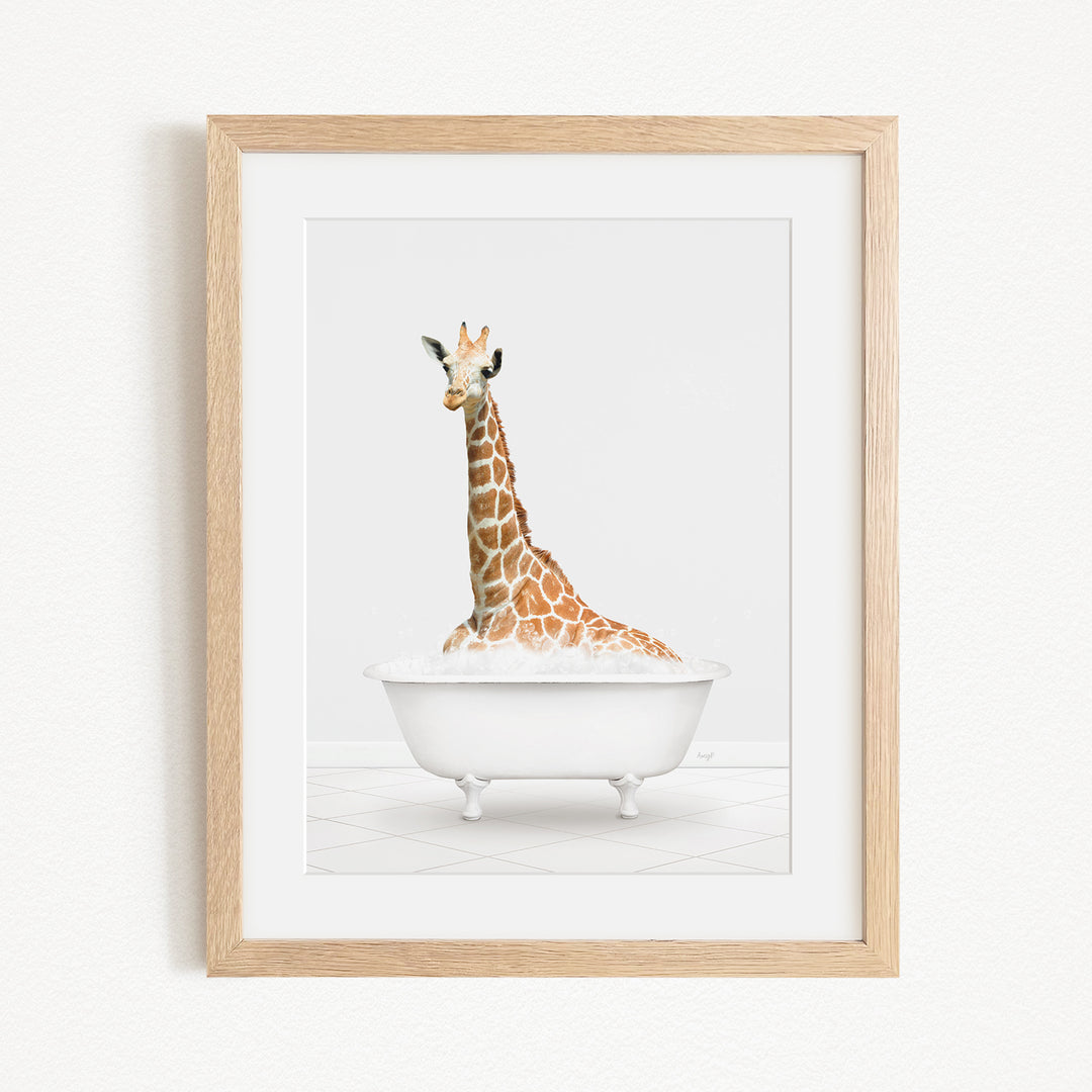 A giraffe sitting in a white bathtub, with its head and neck submerged in the water.