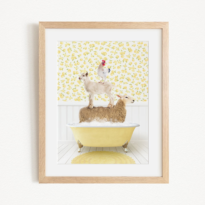 A framed image depicting a sheep standing on a tub filled with water, with a chicken perched on top of the sheep.