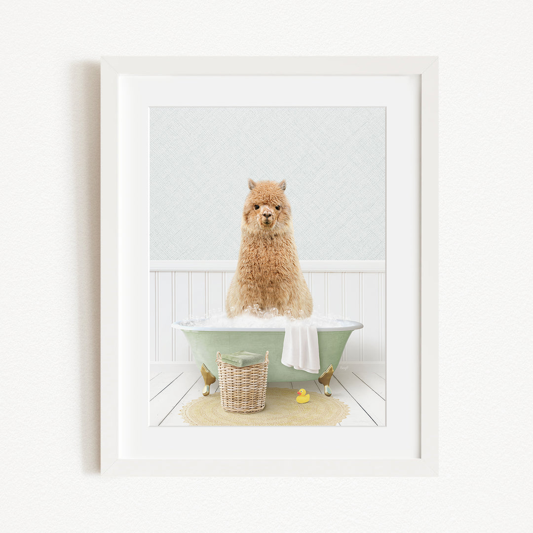 A fluffy brown dog sitting in a green bathtub filled with water, surrounded by rubber ducks and a basket.
