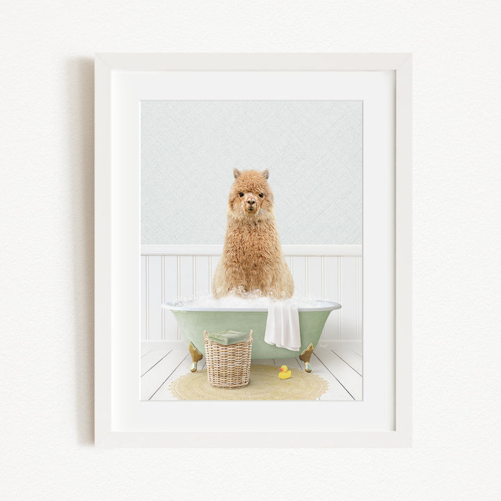 A fluffy brown dog sitting in a green bathtub filled with water, surrounded by rubber ducks and a basket.