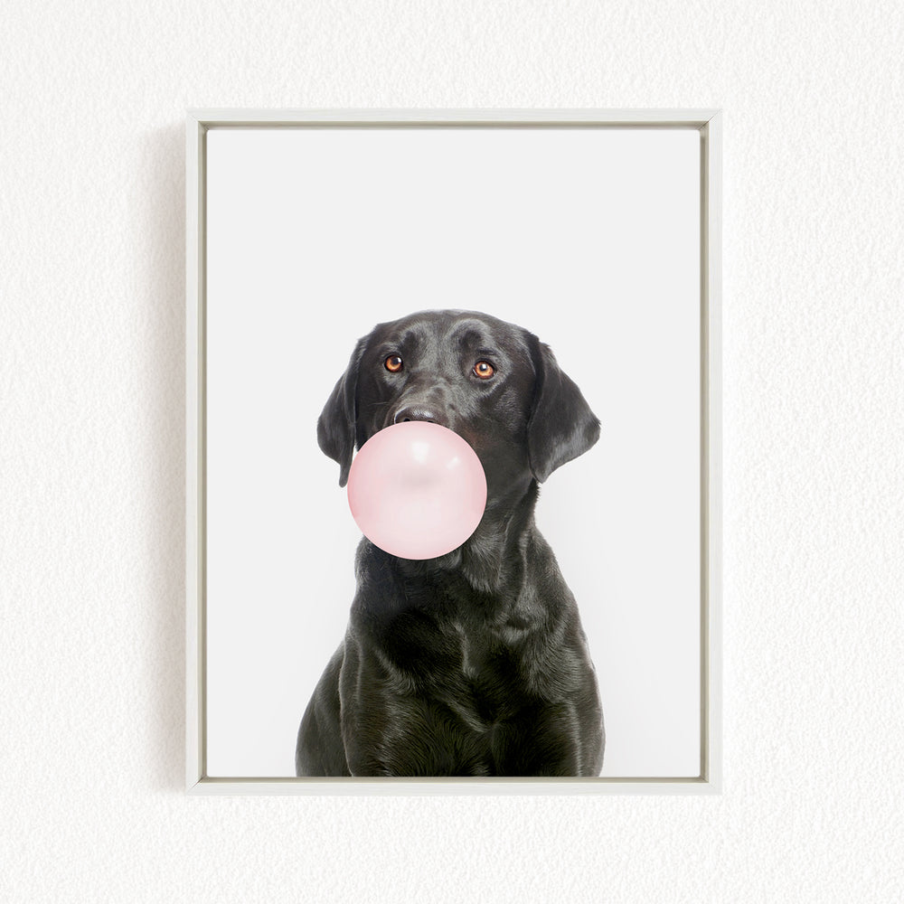 A black dog is blowing a pink bubble with its mouth, creating a playful and adorable scene.