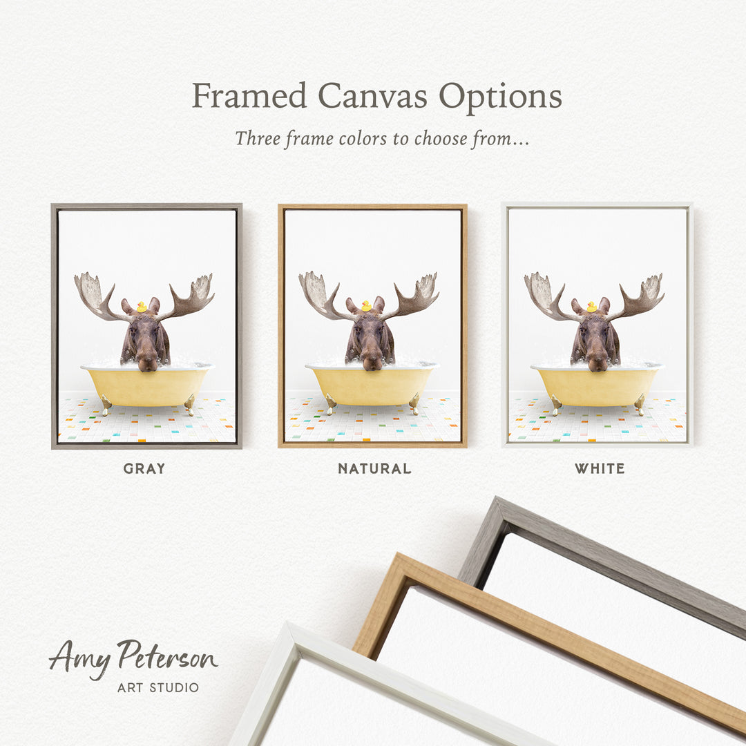 three framed canvas options featuring a moose in a bathtub, with each option having a different frame color.