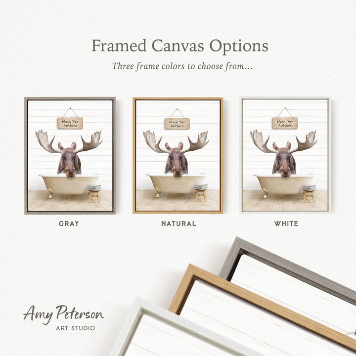 three framed canvas options featuring a moose in a bathtub, with each option having a different frame color.