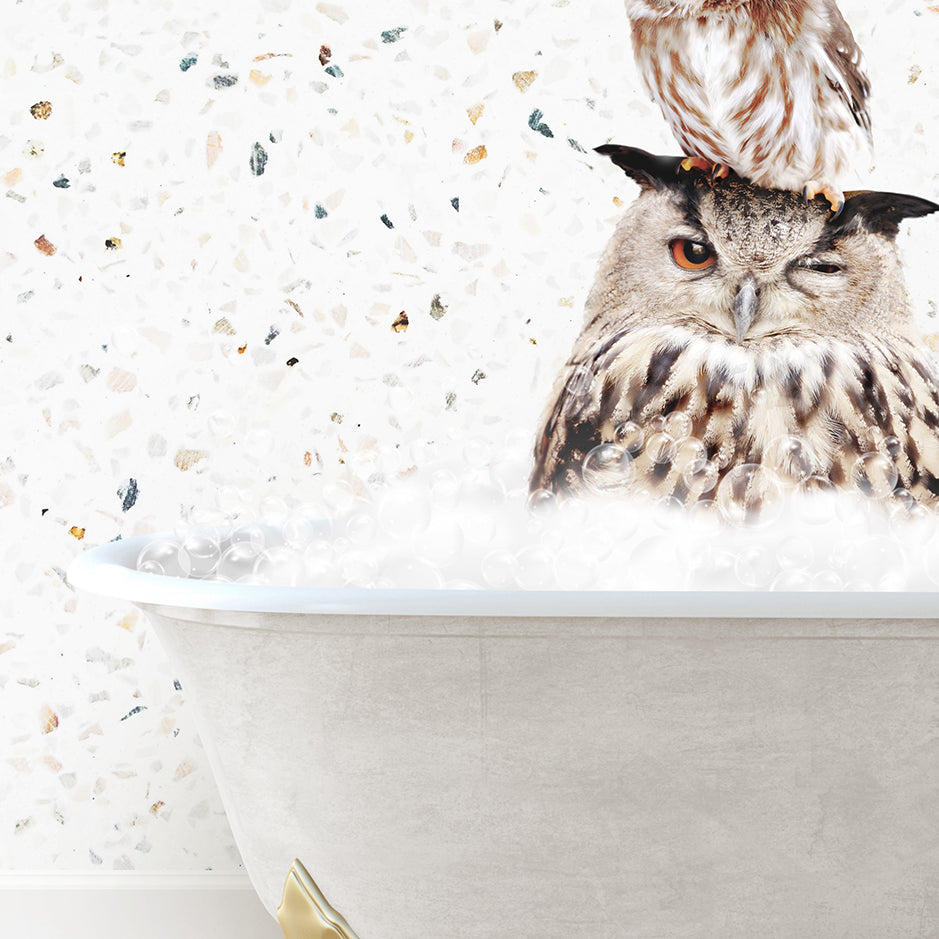 an owl sitting on top of another owl in a bathtub