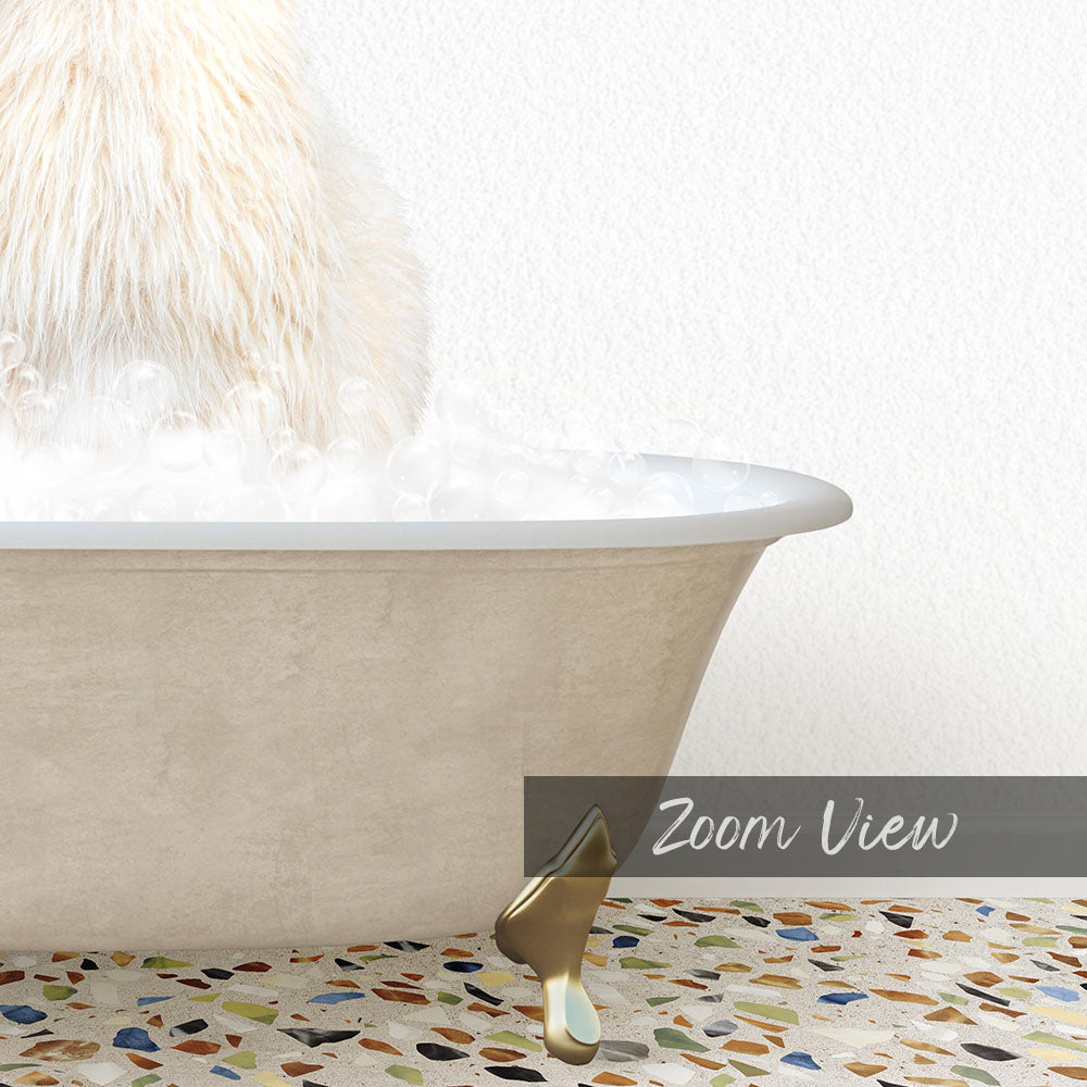 A fluffy white cat is sitting in a bathtub filled with bubbles, with a text overlay that reads "Zoom View".