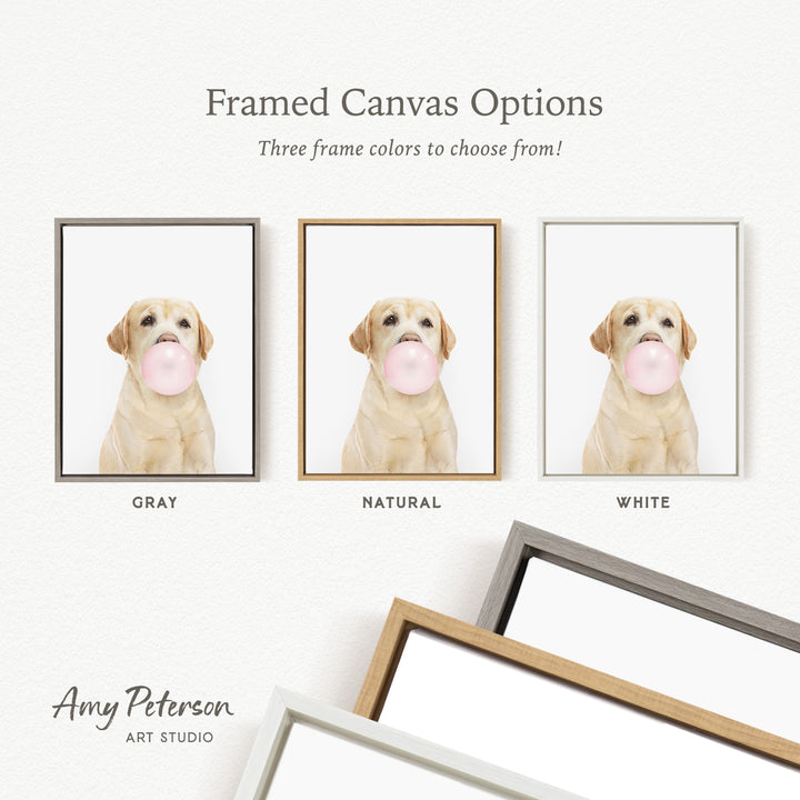 three framed canvas options for a picture of a dog blowing a bubble gum bubble. The options include a gray frame, a natural frame, and a white frame.