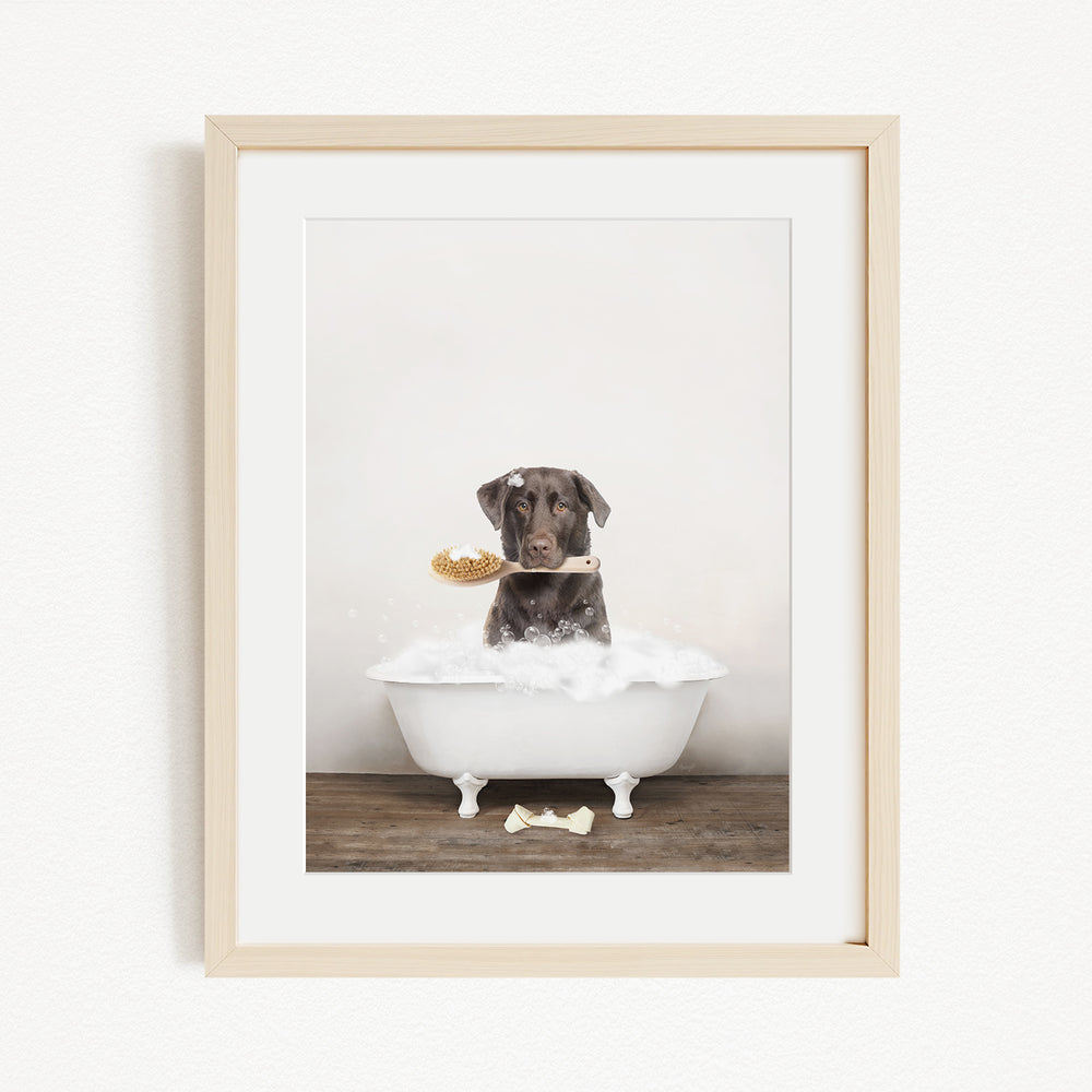 A brown dog sitting in a white bathtub, holding a toy in its mouth, with a white dog toy and a white dog bone on the floor.