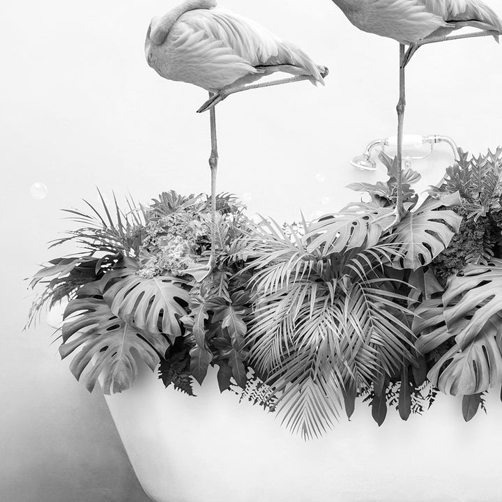 a couple of flamingos standing on top of a plant