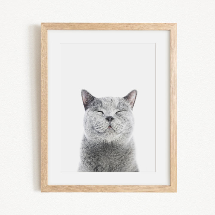A gray cat with its eyes closed and a content expression is the focus of the framed image.