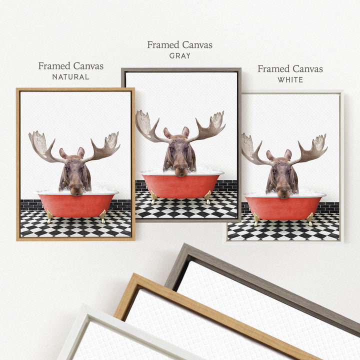 a framed picture of a moose sitting in a red bathtub, with three different colored frames displayed below it.