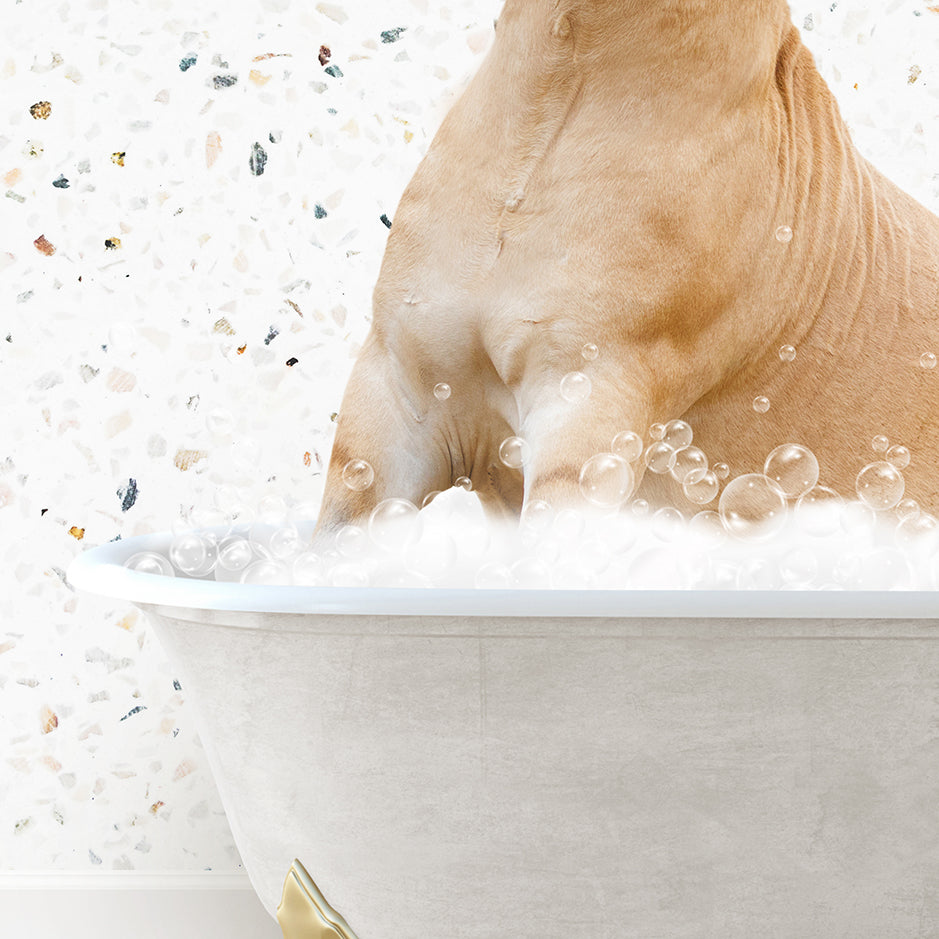 a dog sitting in a bathtub filled with bubbles