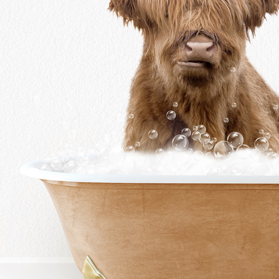 a brown dog sitting in a bath tub filled with bubbles