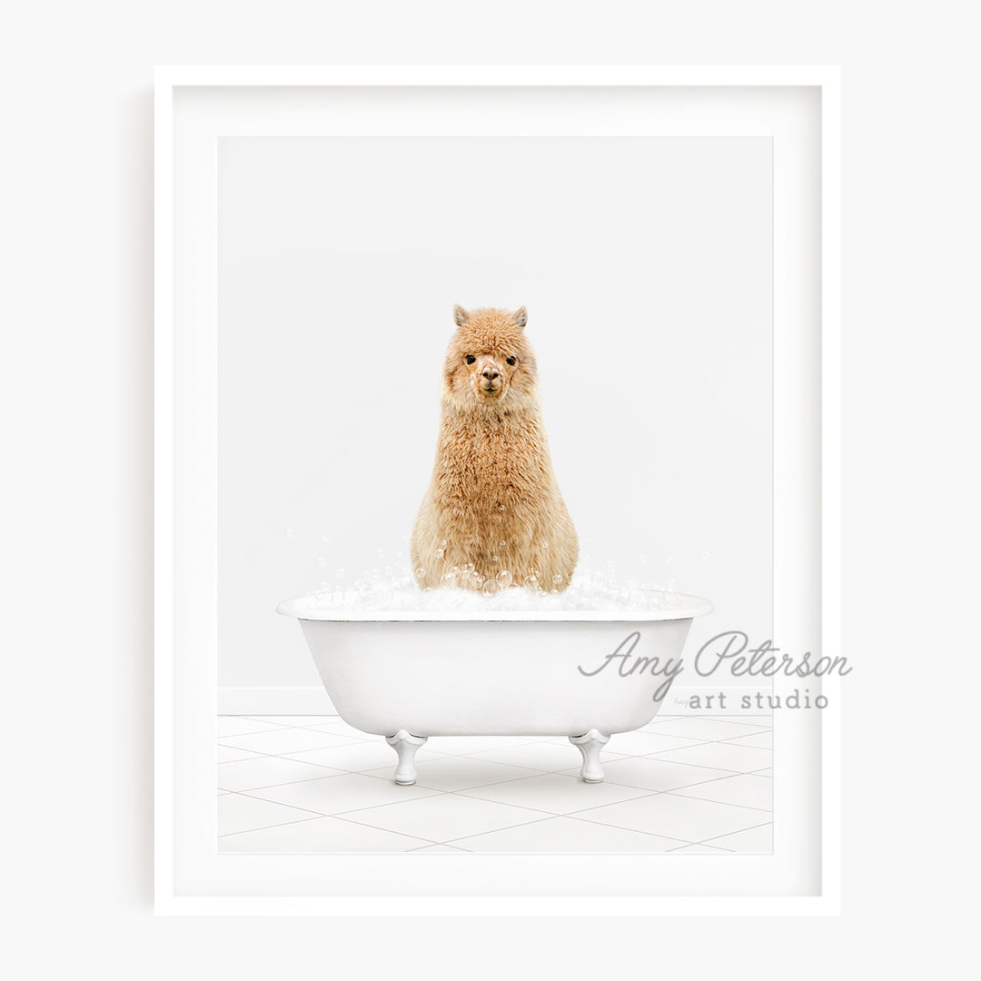 a dog sitting in a bathtub with bubbles of water