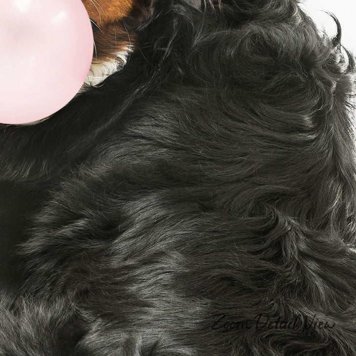 A close-up of a fluffy black dog's fur, with a pink bubble partially visible in the top left corner.