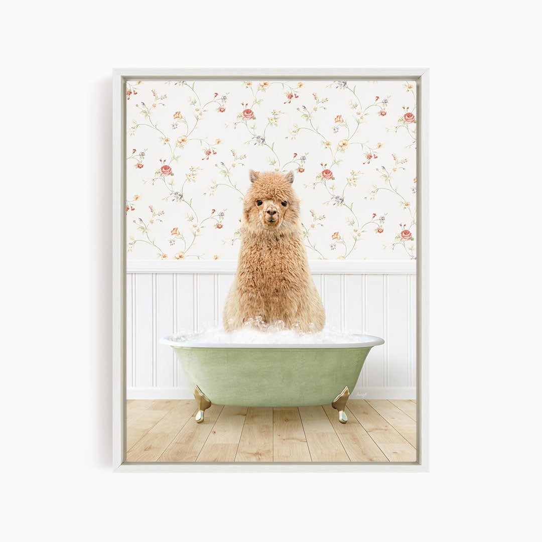 A fluffy brown dog sitting in a green bathtub filled with water, with a floral wallpaper in the background.