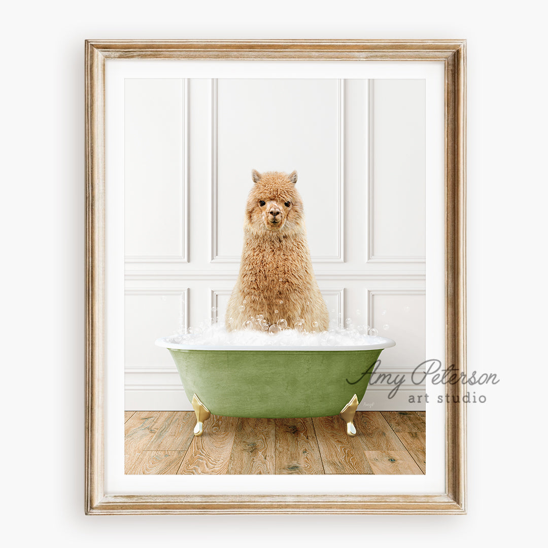 a brown dog sitting in a green bath tub