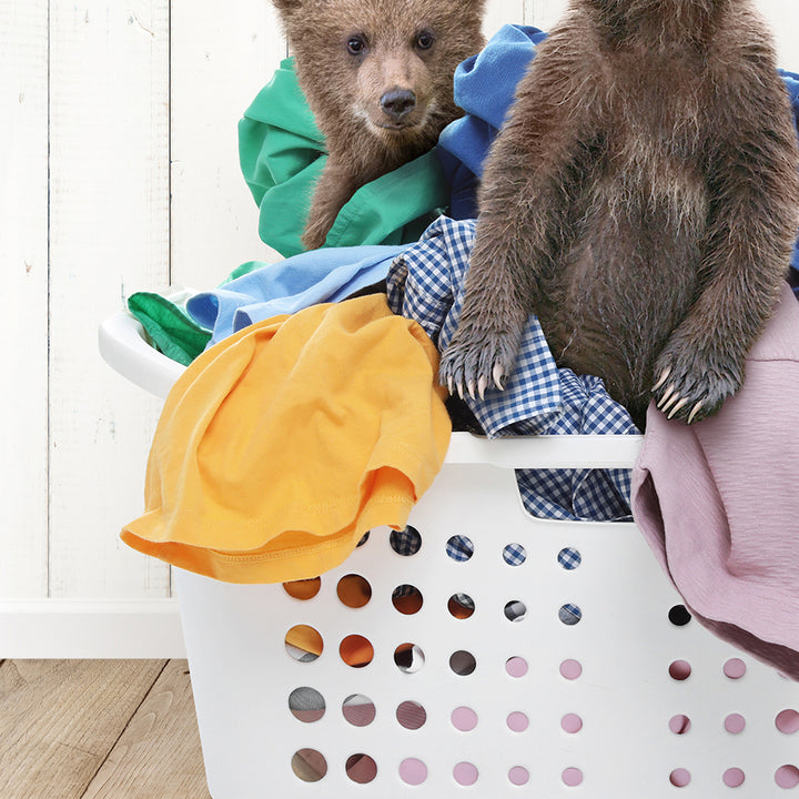 two brown bears sitting in a laundry basket