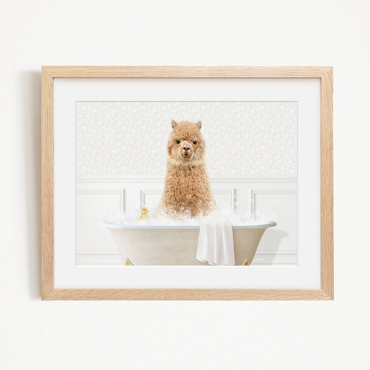 A fluffy brown dog sitting in a white bathtub filled with bubbles, surrounded by a white background.