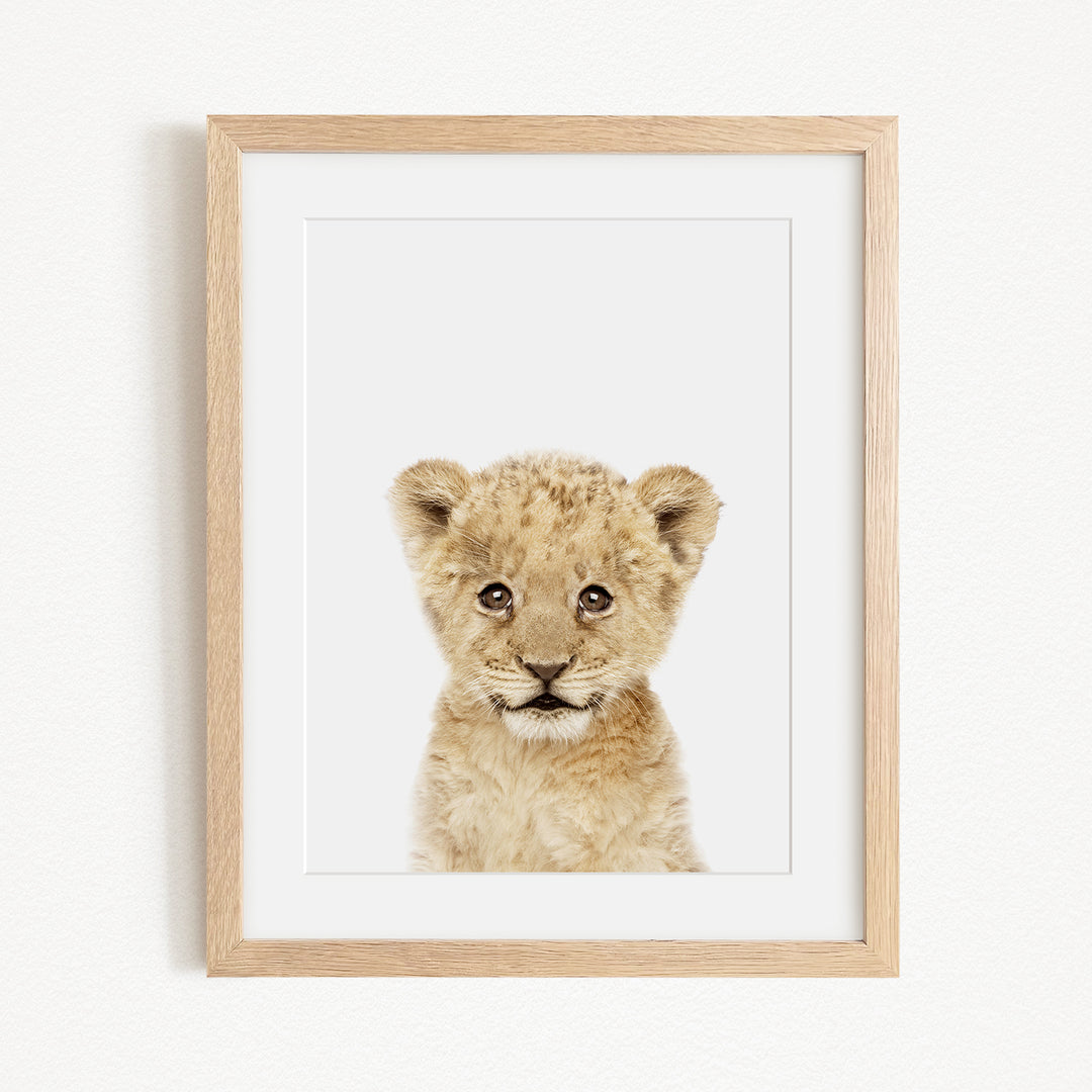 A young lion cub with a curious expression is the focus of the framed print displayed on the wall.